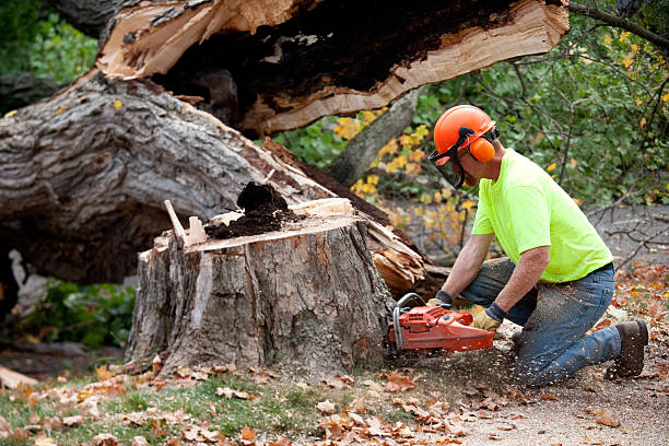 Mulching Services in Kettering, OH